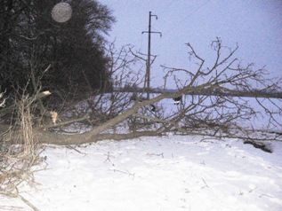 ����� IMG_1892.JPG