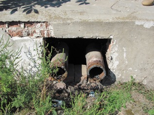 IMG_0242 - �����.jpg