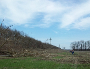 04 - �����.JPG