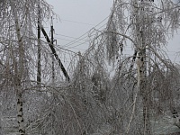 ���������� ����������� �������� ����� � �������������� ��������� ������, ������ 2014 ���