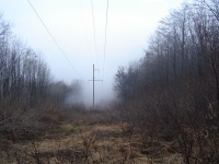 В туманной дали белеют опоры